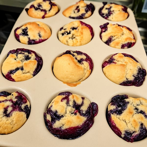 Vegan Blueberry
