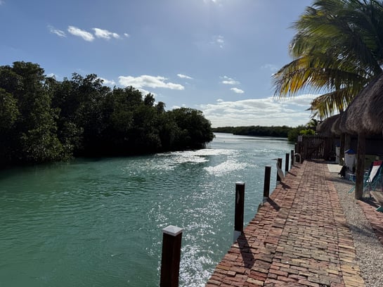 A reflection of the past year